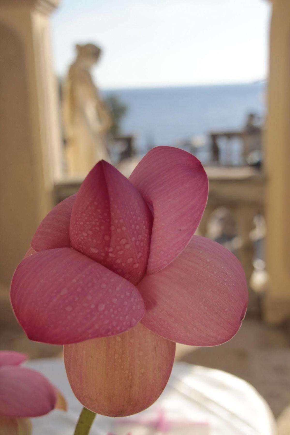 Hotel Villa Margherita Quercianella Esterno foto